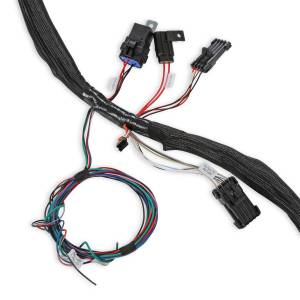 Holley EFI - Holley EFI LS Main Harness | 558-134 - Image 7