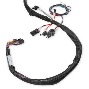 Holley EFI - Holley EFI LS Main Harness | 558-134 - Image 8