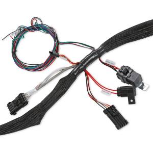 Holley EFI - Holley EFI LS Main Harness | 558-134 - Image 9