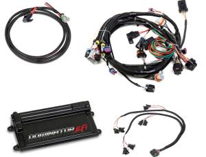 Holley EFI Dominator EFI ECU Kit | 550-650