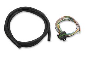 Holley EFI Sniper EFI I/O Harness | 558-491