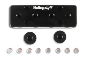 Holley EFI Vacuum Manifold Kit | 534-52