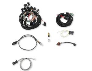 Holley EFI - Holley EFI Terminator x Stealth 4500 Kit | 550-1080 - Image 18