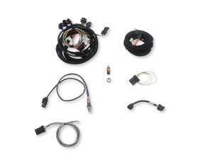 Holley EFI - Holley EFI Terminator x Stealth 4500 Kit | 550-1081 - Image 19