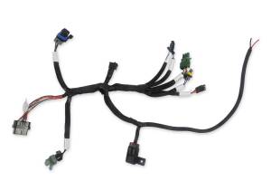 Holley EFI Benchtop Wiring Harness | 558-127