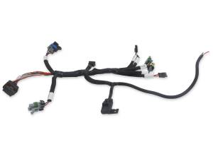 Holley EFI - Holley EFI Benchtop Wiring Harness | 558-127 - Image 2