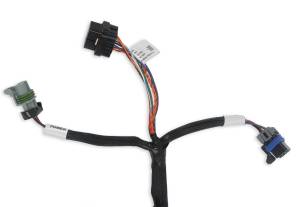 Holley EFI - Holley EFI Benchtop Wiring Harness | 558-127 - Image 3