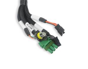 Holley EFI - Holley EFI Benchtop Wiring Harness | 558-127 - Image 8