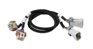 Holley EFI LS Ignition Coil Harness | 558-326