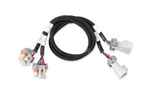 Holley EFI - Holley EFI LS Ignition Coil Harness | 558-326 - Image 2