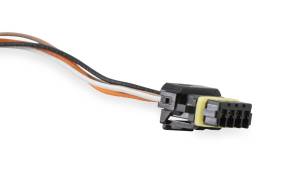 Holley EFI - Holley EFI CAN Adapter Harness | 558-454 - Image 3