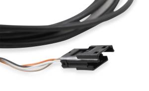 Holley EFI - Holley EFI CAN Adapter Harness | 558-454 - Image 4