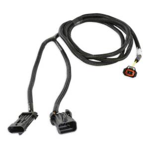 Holley EFI PWM Alternator Harness | 558-475