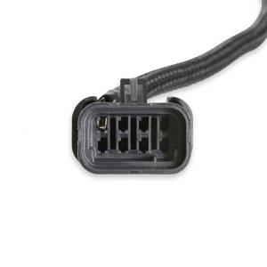 Holley EFI - Holley EFI PWM Alternator Harness | 558-475 - Image 4