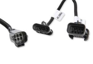 Holley EFI - Holley EFI Terminator X Sub-Harness | 558-131 - Image 6