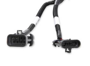 Holley EFI - Holley EFI Terminator X Sub-Harness | 558-132 - Image 3