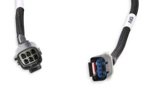 Holley EFI - Holley EFI Terminator X Sub-Harness | 558-132 - Image 4