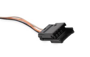 Holley EFI - Holley EFI CAN Adapter Harness | 558-452 - Image 4