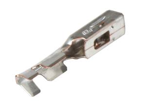 Holley EFI - Holley EFI Cam/Crank Connector | 570-241 - Image 2