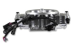 Holley EFI - Holley EFI Terminator X Stealth 4500 System | 534-301 - Image 9