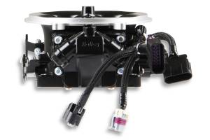 Holley EFI - Holley EFI Terminator X Stealth 4500 System | 534-302 - Image 11