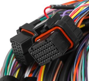 Holley EFI - Holley EFI Unterminated Main Engine Wire Harness | 558-126 - Image 3