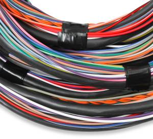 Holley EFI - Holley EFI Unterminated Main Engine Wire Harness | 558-126 - Image 4