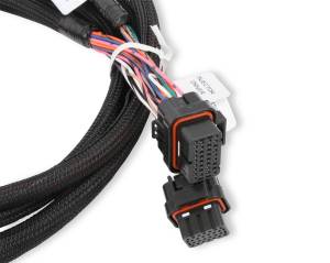 Holley EFI - Holley EFI Injector Driver Harness | 558-219 - Image 4