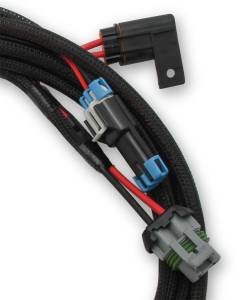 Holley EFI - Holley EFI Ford Coyote TI-VCT Main Power Wiring Harness | 558-319 - Image 3