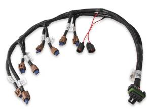 Holley EFI TI-VCT Coil ECM Wire Harness | 558-322