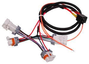 MSD LS Coil Power Upgrade Harness | 88867