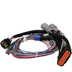 MSD Power Grid Ignition System Replacement Wire Harness | 7780