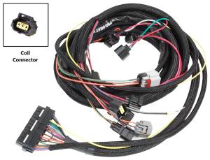 MSD 6-Hemi Harness | 88864