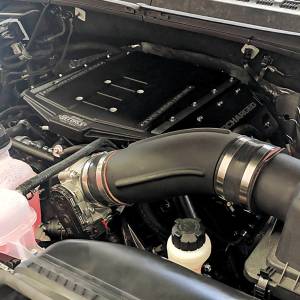 Edelbrock - Edelbrock Edelbrock Stage 1 Supercharger Kit #15812 For 2019-21 Ford F-150 5.0L 4V W/ Tune Ford:Modular Coyote 4V:302 (5.0L) | 15812 - Image 2