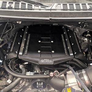 Edelbrock - Edelbrock Edelbrock Stage 1 Supercharger Kit #15812 For 2019-21 Ford F-150 5.0L 4V W/ Tune Ford:Modular Coyote 4V:302 (5.0L) | 15812 - Image 3