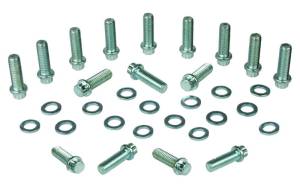 Moroso Chevrolet Big Block Intake Manifold Bolt Kit - 3/8in-16 x 1.25in - Set of 12