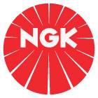 NGK - NGK 2014-13 SRT Viper Coil Near Plug Ignition Coil