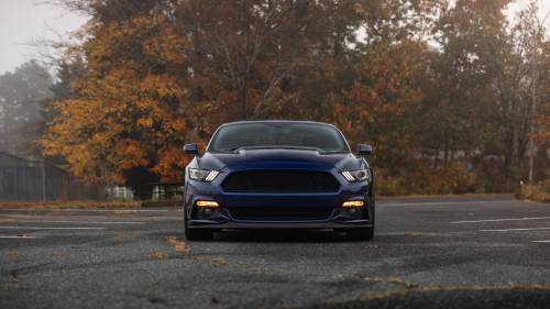 2015 Ford Mustang 50th Anniversary Petty Edition Cover